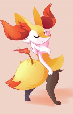 Boxing Love-//-Braixen x Humano(Remake)(FINALIZADA)