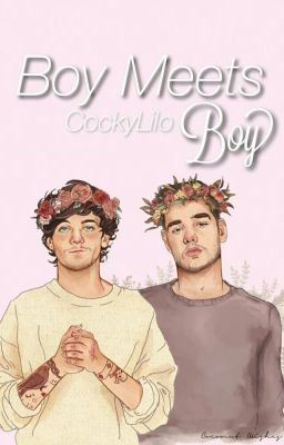 Boy Meets Boy⚣Lilo MPreg✔️