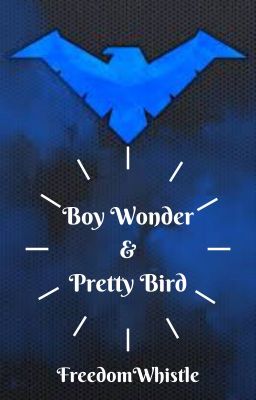 boy wonder & pretty bird; oneshots/gap-year chapters