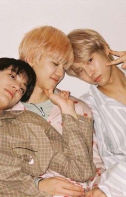 ⟡ ݁₊ .  Boyfriends ~ NoRenMin