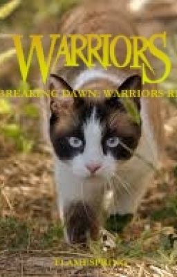 Breaking Dawn: Warriors RP (additions open)