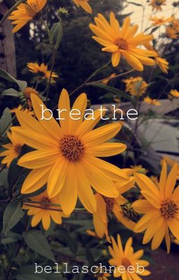 Breathe (Percabeth AU)