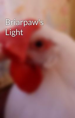 Briarpaw's Light