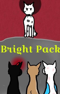 Bright Pack