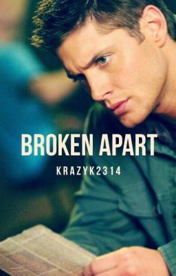 Broken Apart (Dean Winchester x Reader)