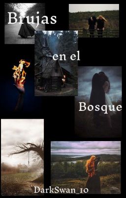 Brujas en el bosque