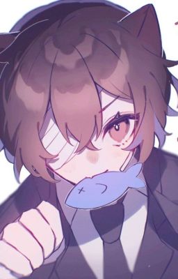 [BSD] Dazai miêu miêu kỳ diệu chi lữ