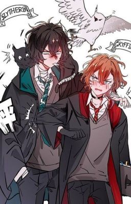 [BSD/HP] Mafia cán bộ ở Hogwart du ký sự - [DROP VÔ THỜI HẠN]