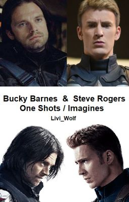 Bucky Barnes & Steve Rogers Imagines (Discontinued)