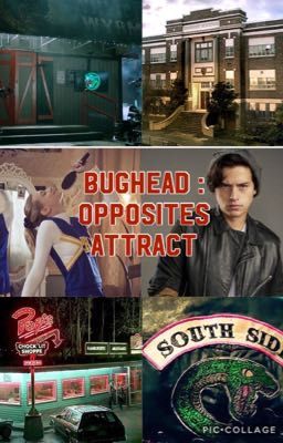 Bughead: opposites attract