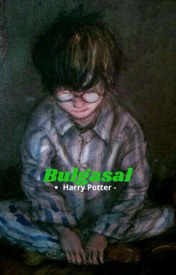 Bulgasal - Harry Potter -