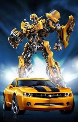 Bumblebee X Reader