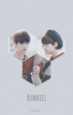 Bunnies || Stray Kids || Minho x Hyunjin