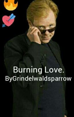 Burning Love (a Horatio Caine Love Story)