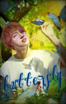 Butterfly ✦ Kookmin 국민