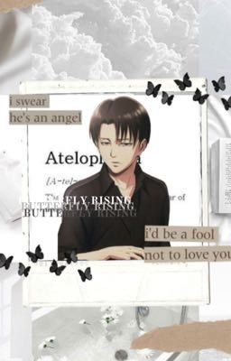 butterfly rising ➪ levi ackerman