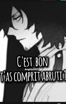 C'est bon t'as compris abruti ? (Aizawa x oc)