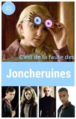 'C'est de la faute des joncheruines'