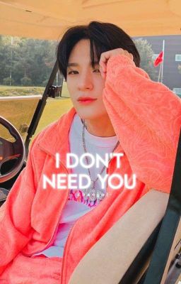 [C] I Don't Need You | LJN