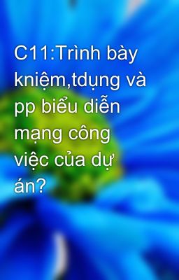 C11:Trình bày kniệm,tdụng và pp biểu diễn mạng công việc của dự án?