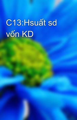 C13:Hsuất sd vốn KD