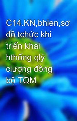 C14.KN,bhien,sơ đồ tchức khi triển khai hthống qlý clượng đồng bộ TQM