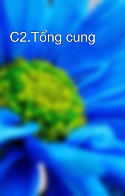 C2.Tổng cung