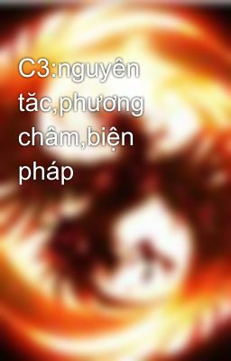 C3:nguyên tăc,phương châm,biện pháp