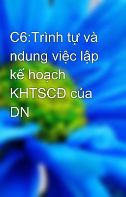 C6:Trình tự và ndung việc lập kế hoạch KHTSCĐ của DN