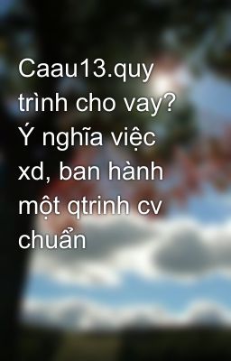 Caau13.quy trình cho vay? Ý nghĩa việc xd, ban hành một qtrinh cv chuẩn