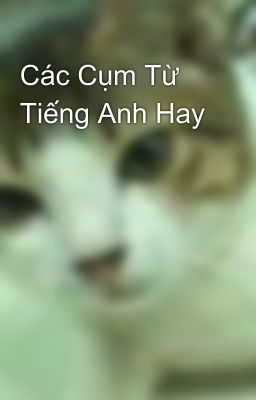 Các Cụm Từ Tiếng Anh Hay