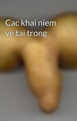 Cac khai niem ve tai trong