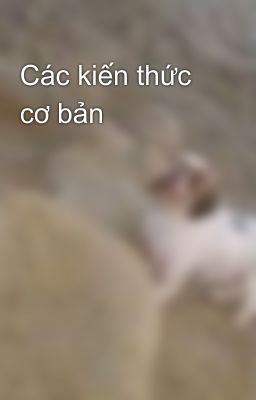 Các kiến thức cơ bản