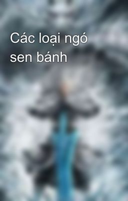 Các loại ngó sen bánh