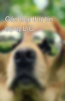 Các loại thư tín dụng L/C