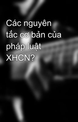 Các nguyên tắc cơ bản của pháp luật XHCN?