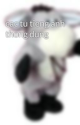 cac tu tieng anh thong dung