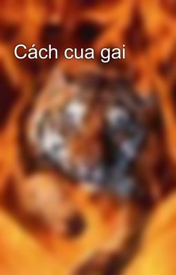 Cách cua gai