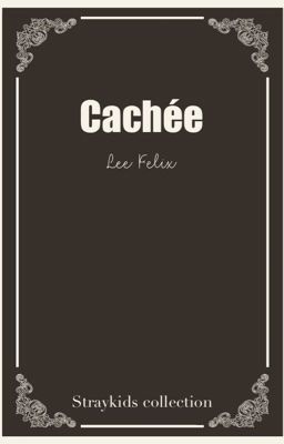 Cachée - 𝖥𝖾𝗅𝗂𝗑 [ 𝖲𝗍𝗋𝖺𝗒𝗄𝗂𝖽𝗌 𝖲𝗄𝗓 ] 