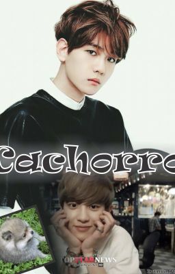 CACHORRO (CHANBAEK)