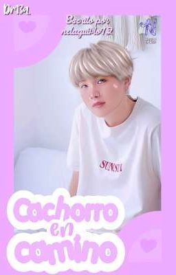 Cachorro en camino / TaeGi