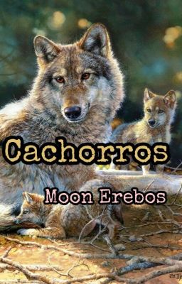 Cachorros