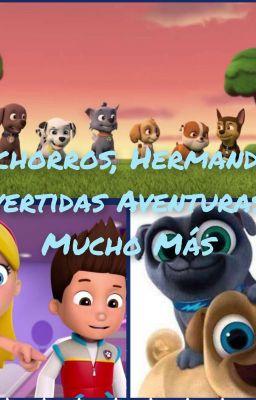 Cachorros, Hermandad, Divertidas Aventuras Y Mucho Más