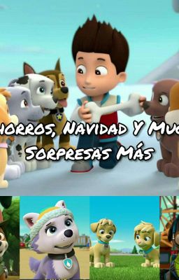 Cachorros, Navidad Y Muchas Sorpresas Más