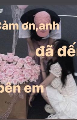 Cảm ơn ,anh đã đến bên em