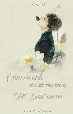 Cám ơn anh đã xuất hiện trong tuổi xuân của em - Văn Tử