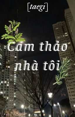 Cam thảo nhà tôi