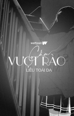 Cấm vượt rào - Liễu Toái Đêm