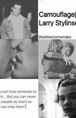 Camouflage||Larry Stylinson