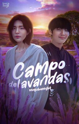 campo de lavandas ━━ hyunin.